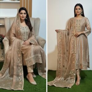 Unstitched Gorgeous Eid Party Dress